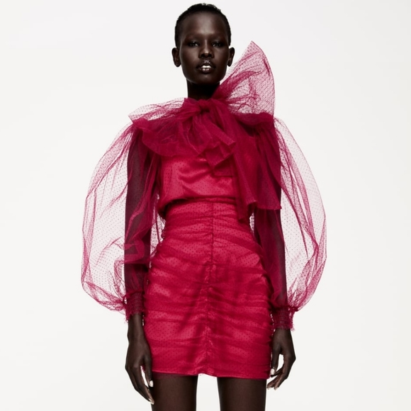 ZARA | Bloggers Fave Tulle Swiss Dot Dress Fuchsia - Picture 10 of 16